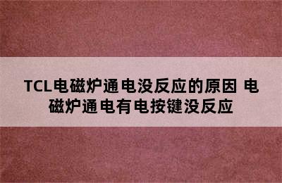 TCL电磁炉通电没反应的原因 电磁炉通电有电按键没反应